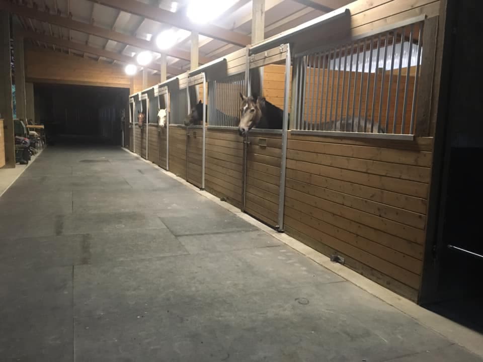 Barn stalls with horses