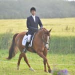 Dressage