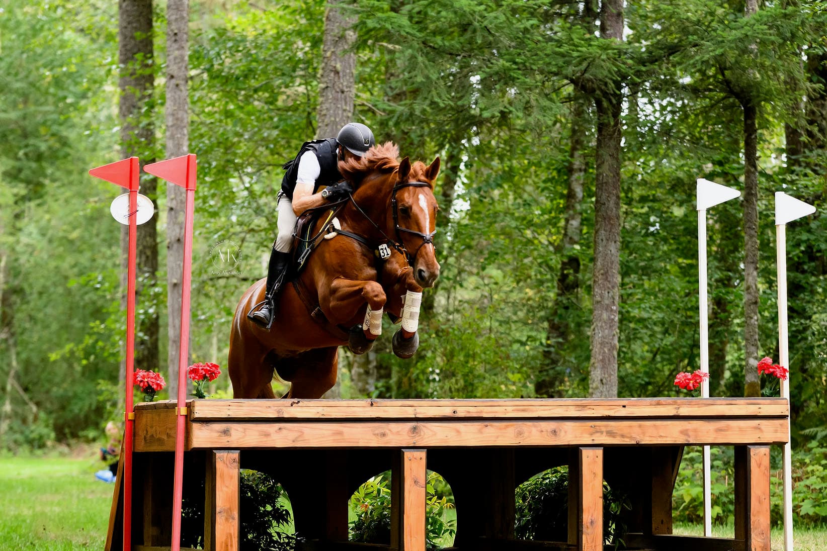 Todd Trewin and Cooley High Society jumping a cross-country table